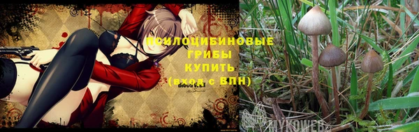 альфа пвп VHQ Алзамай